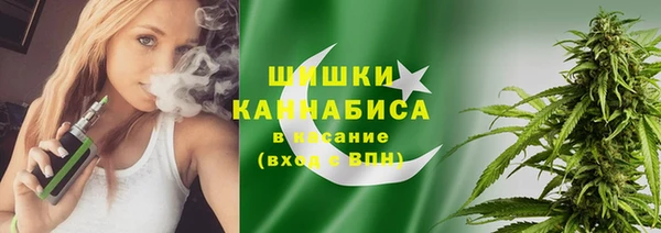 бошки Медногорск
