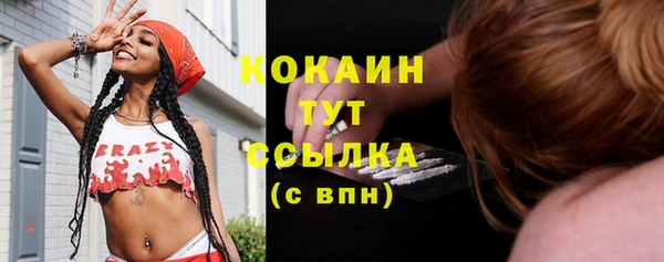 твердый Магас