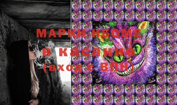 твердый Магас