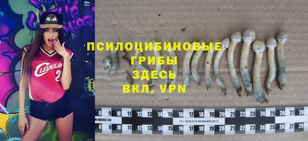 метадон Майский