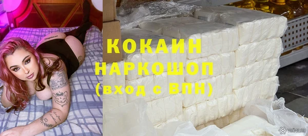 твердый Магас
