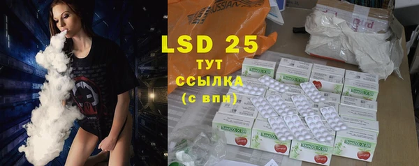 ПСИЛОЦИБИНОВЫЕ ГРИБЫ Медвежьегорск