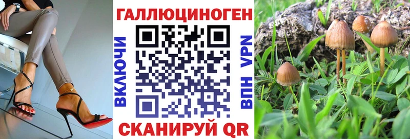 Галлюциногенные грибы прущие грибы  МЕГА ссылки  Котово 